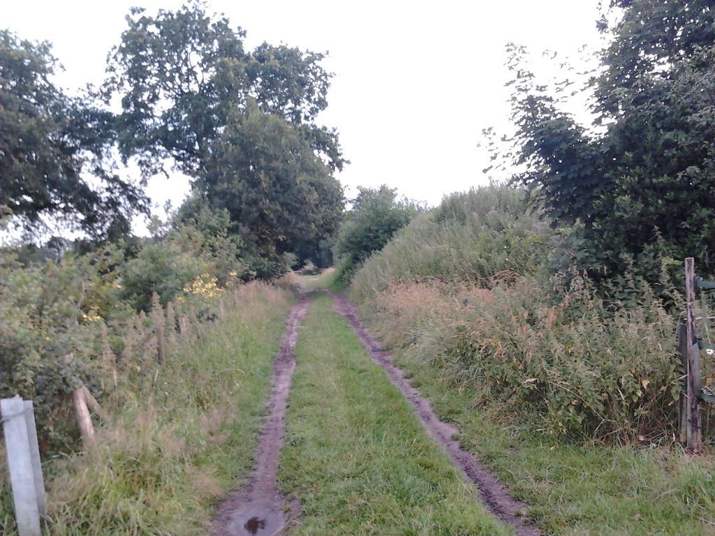 B&B In De Backerije Zuidwolde  الغرفة الصورة