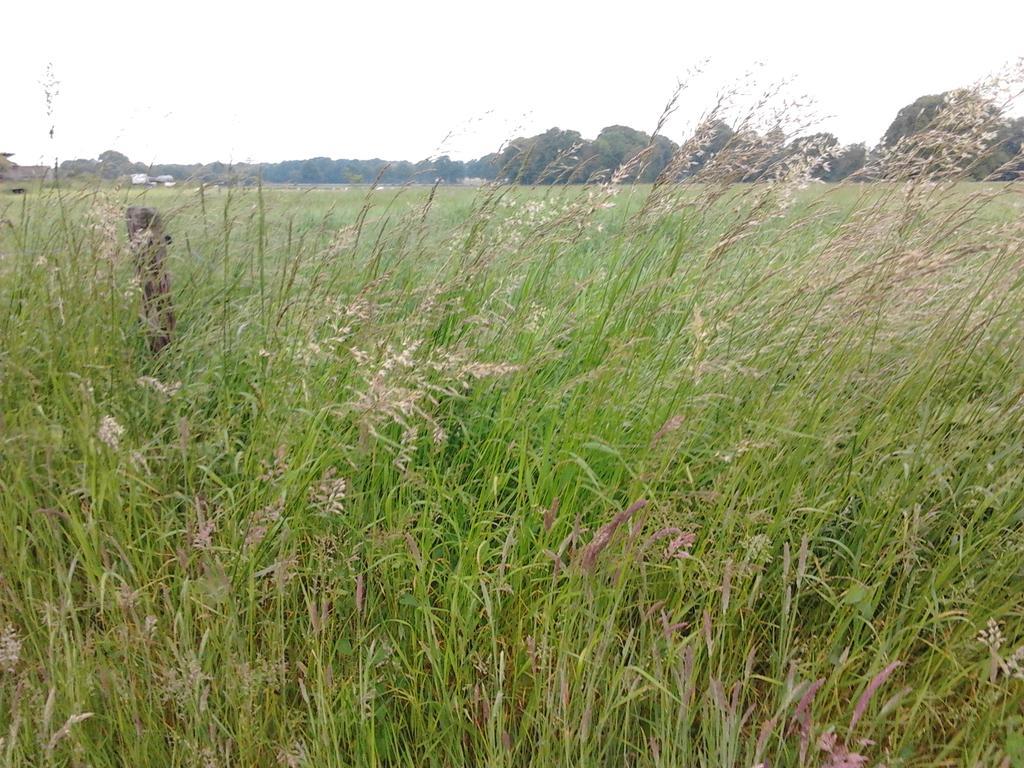 B&B In De Backerije Zuidwolde  المظهر الخارجي الصورة