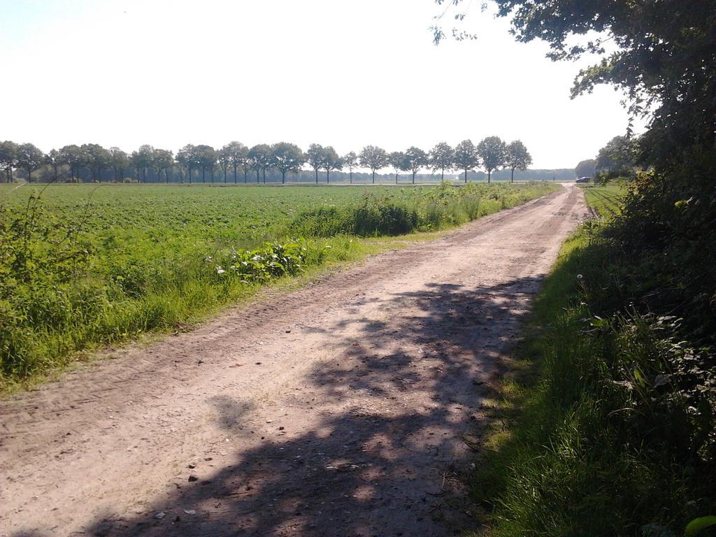 B&B In De Backerije Zuidwolde  الغرفة الصورة